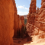 Le canyon mystérieux s'enfonce entre des parois verticales