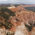 La forêt peine à exister dans ces roches agressives