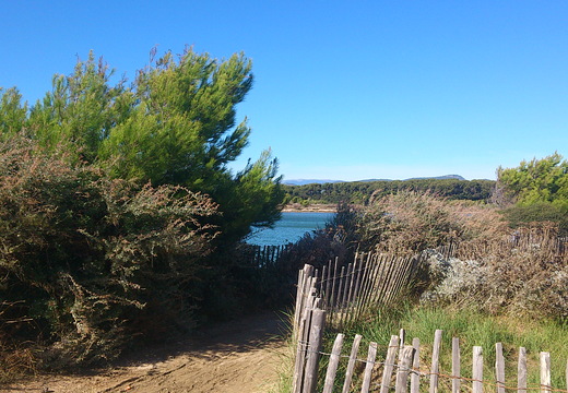 Balade au Grand Gaou