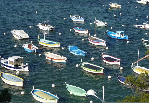 Barques et pointus au mouillage au Brusc