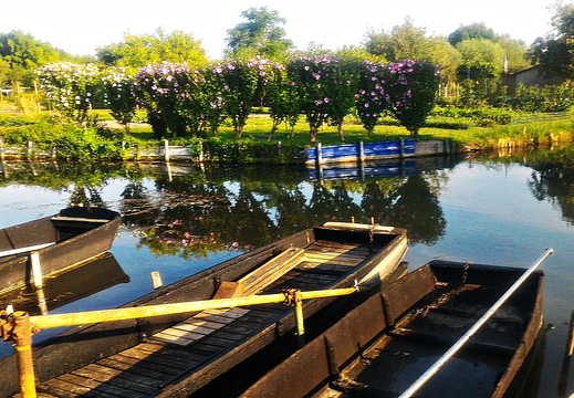 Les barques du marais de Bourges