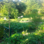 La terrasse au bord de l'eau